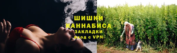 прущий лед Пересвет