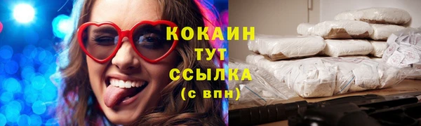прущий лед Пересвет