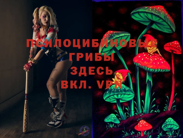 прущий лед Пересвет