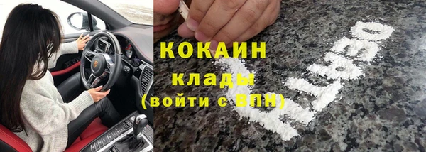 прущий лед Пересвет