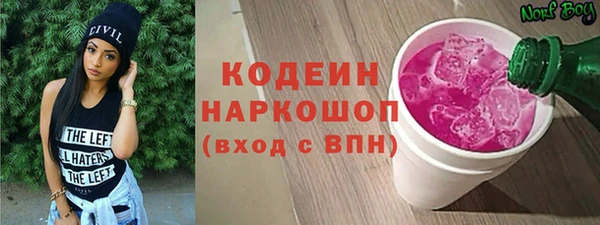 прущий лед Пересвет