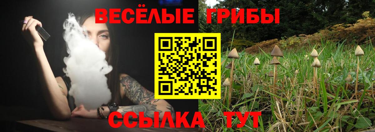 Псилоцибиновые грибы Psilocybine cubensis Красноярск